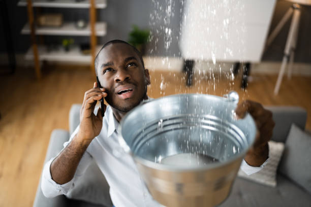 Best Professional water damage repair  in Haslet, TX