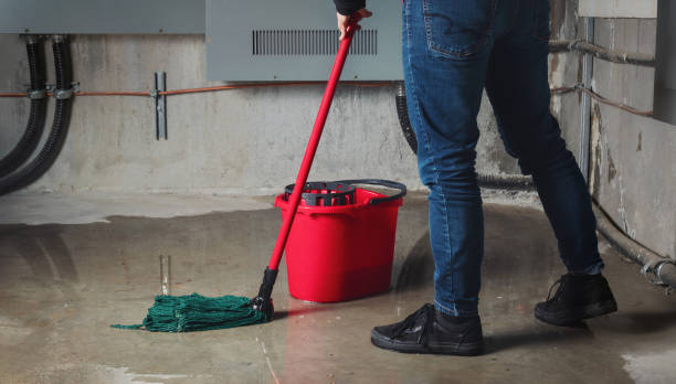 Best Flood restoration services  in Haslet, TX