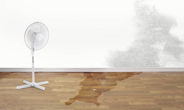 Best Water damage restoration services  in Haslet, TX