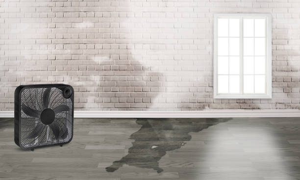 Best Commercial water damage restoration  in Haslet, TX