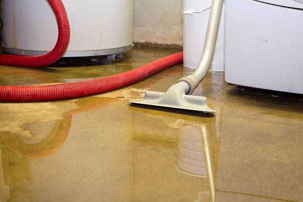 Best Commercial water damage restoration  in Haslet, TX