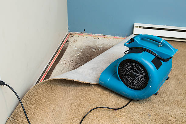 Best Flood damage cleanup  in Haslet, TX